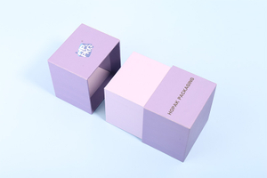 01_0000_rigid box.jpg