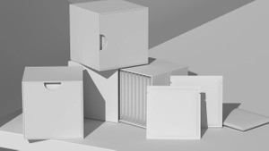 Folding Carton