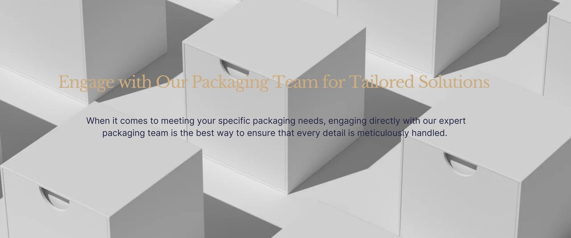 Engage with Our Packaging Team for Tailored Solutions