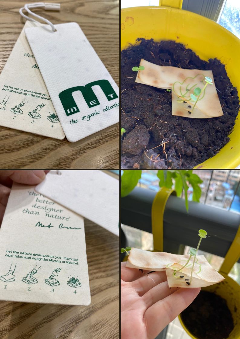 seed paper hangtag